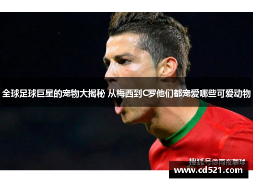 全球足球巨星的宠物大揭秘 从梅西到C罗他们都宠爱哪些可爱动物